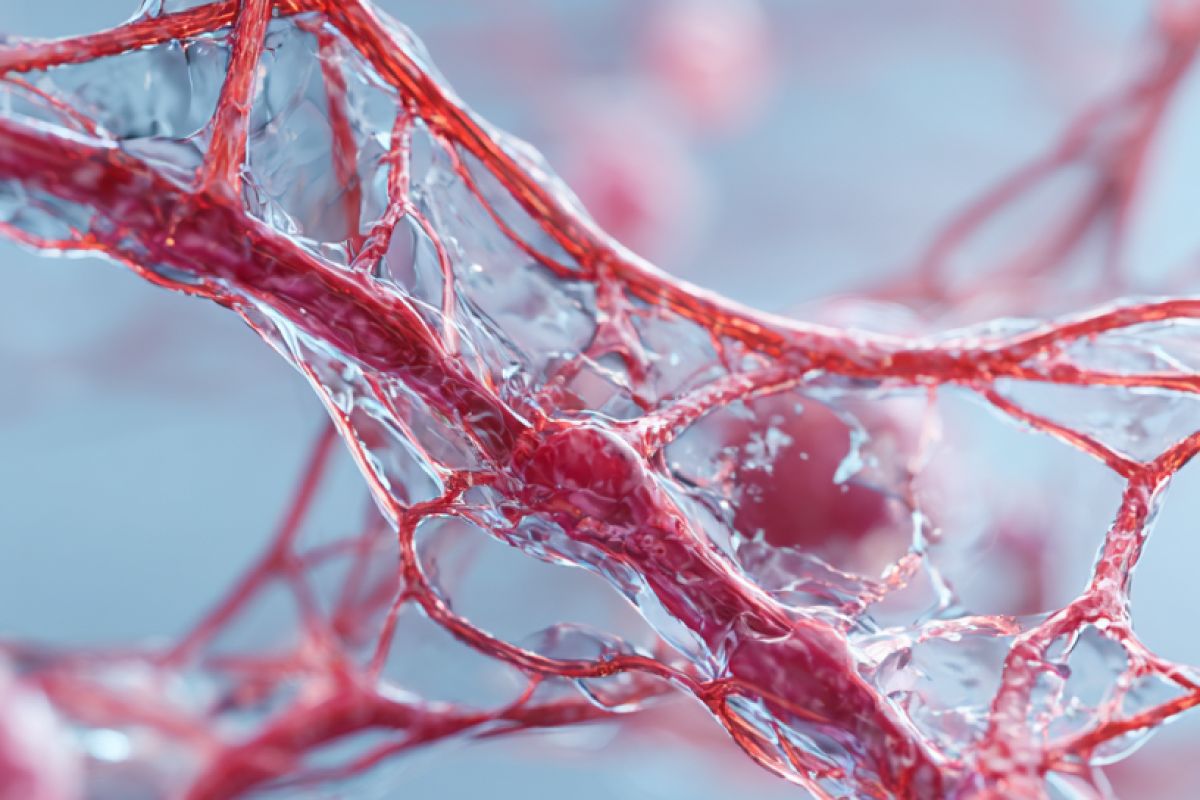 Тромбоз коркунучу: протеин C жана S эмнени көрсөтөт