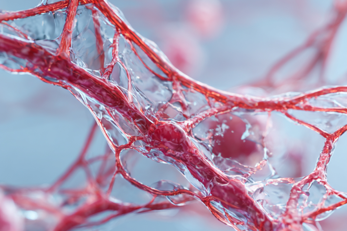 Тромбоз коркунучу: протеин C жана S эмнени көрсөтөт